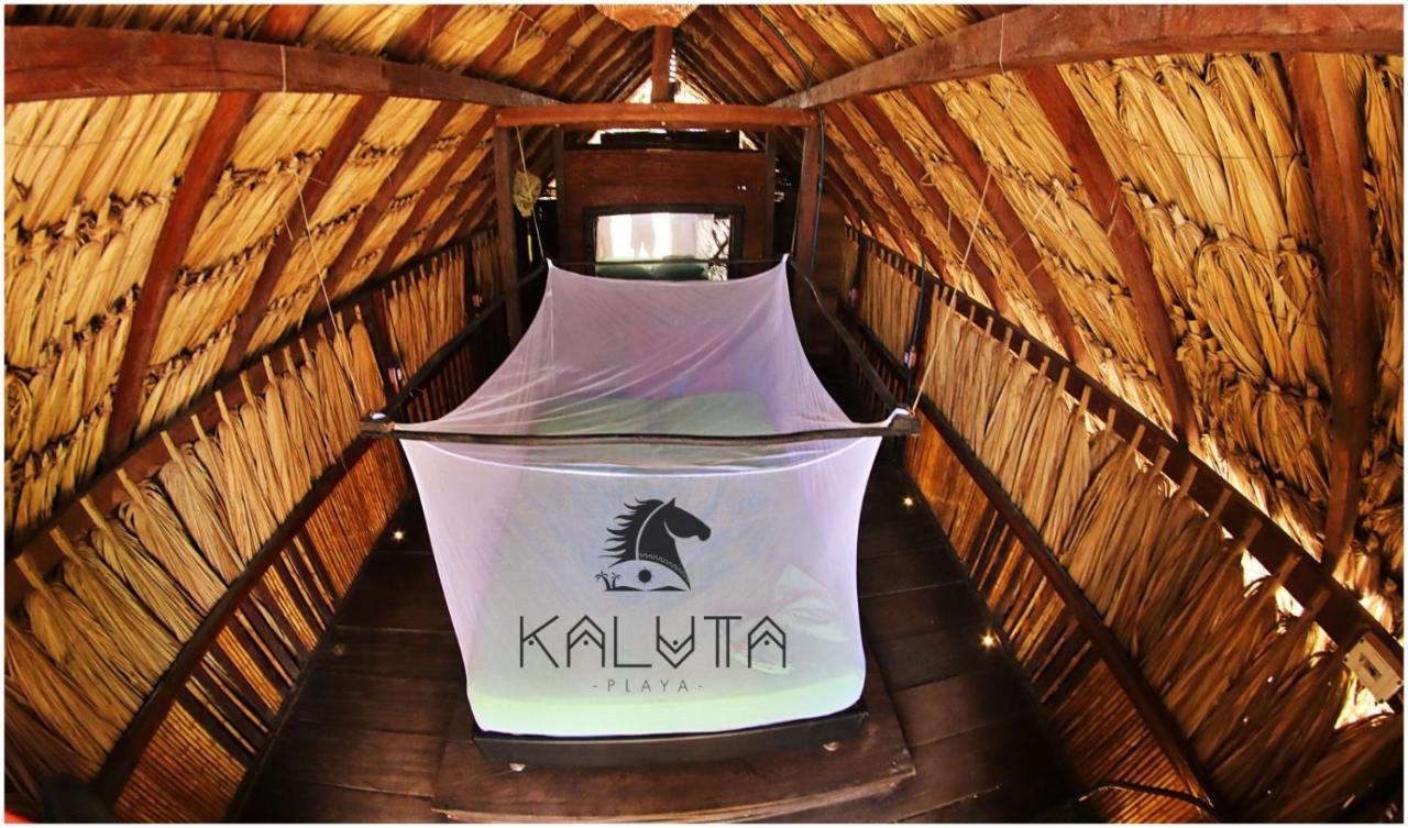 Hostel Kaluta Palomino Exteriér fotografie
