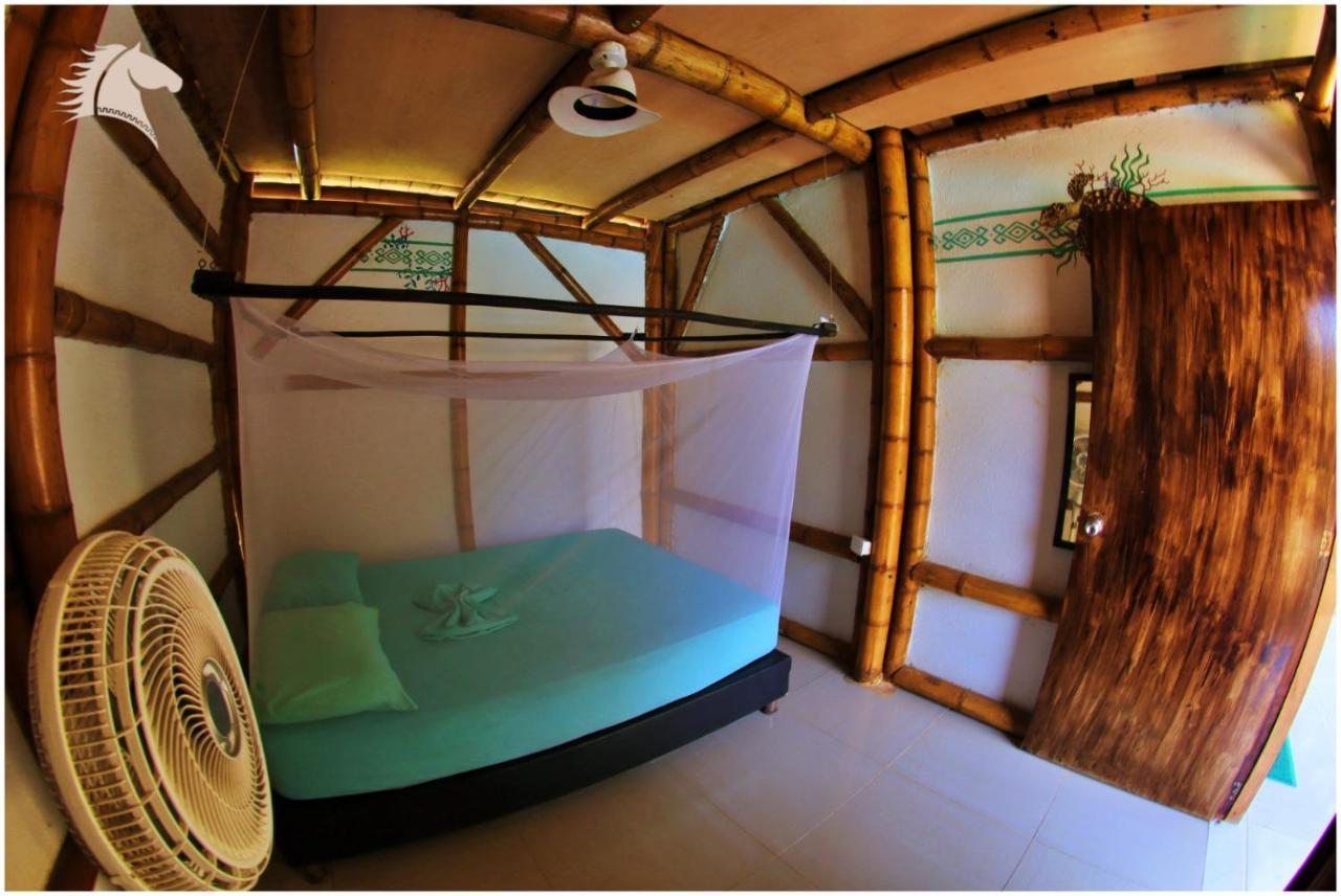 Hostel Kaluta Palomino Exteriér fotografie