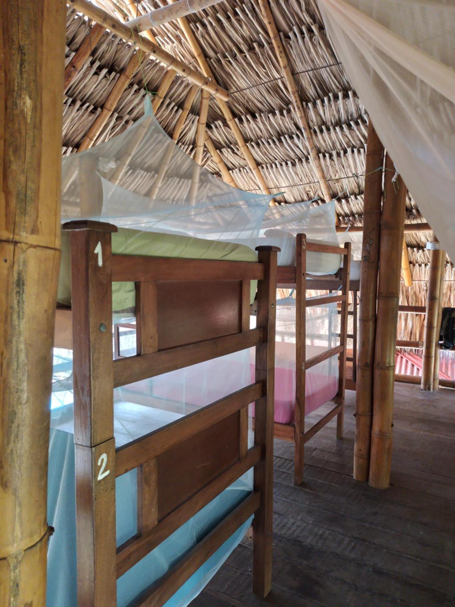 Hostel Kaluta Palomino Exteriér fotografie