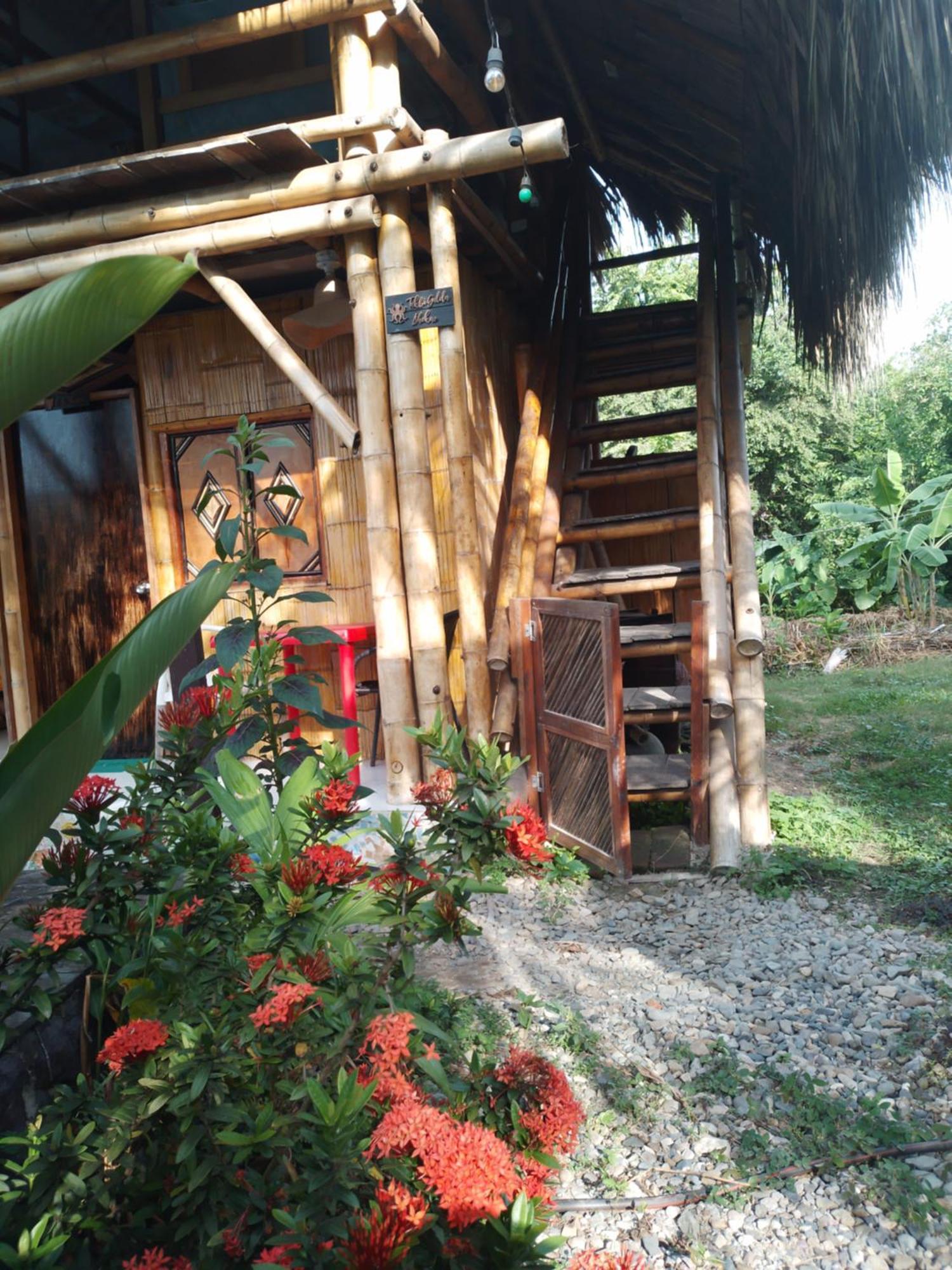 Hostel Kaluta Palomino Exteriér fotografie